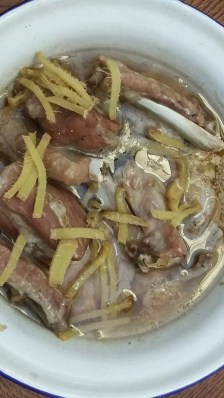 20151123_174240_resized