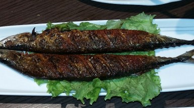 20151126_182633_resized