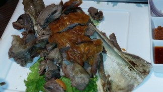 20151126_183533_resized