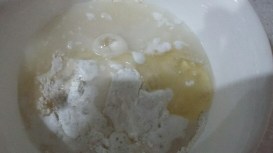 20151217_063248_resized_1