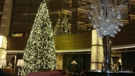 20151224_173419_resized