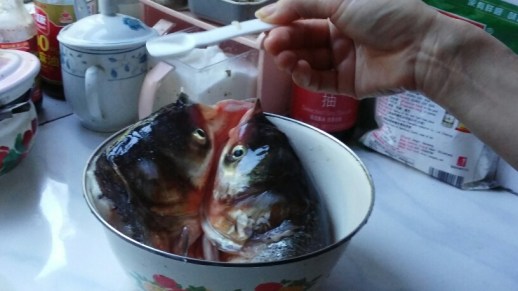 20150804_111619_resized_6