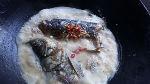 20150804_114731_resized_6