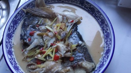 20150804_114914_resized_5