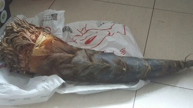 20160410_132137_resized