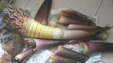 20160410_163439_resized