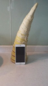 20160410_164209_resized