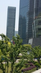 20160430_113917_resized