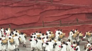 20160517_112003_resized