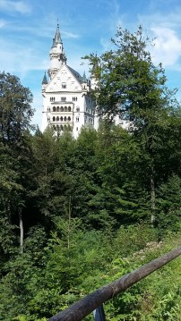 20160803_151906_resized_1