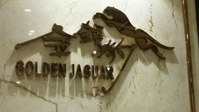 20161125_181746-1_resized