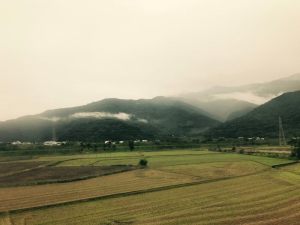 2eb711a4cf826237dd208ed782c2ce6d