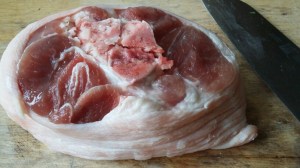 20170115_145855_resized