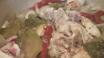 20170115_192754_resized