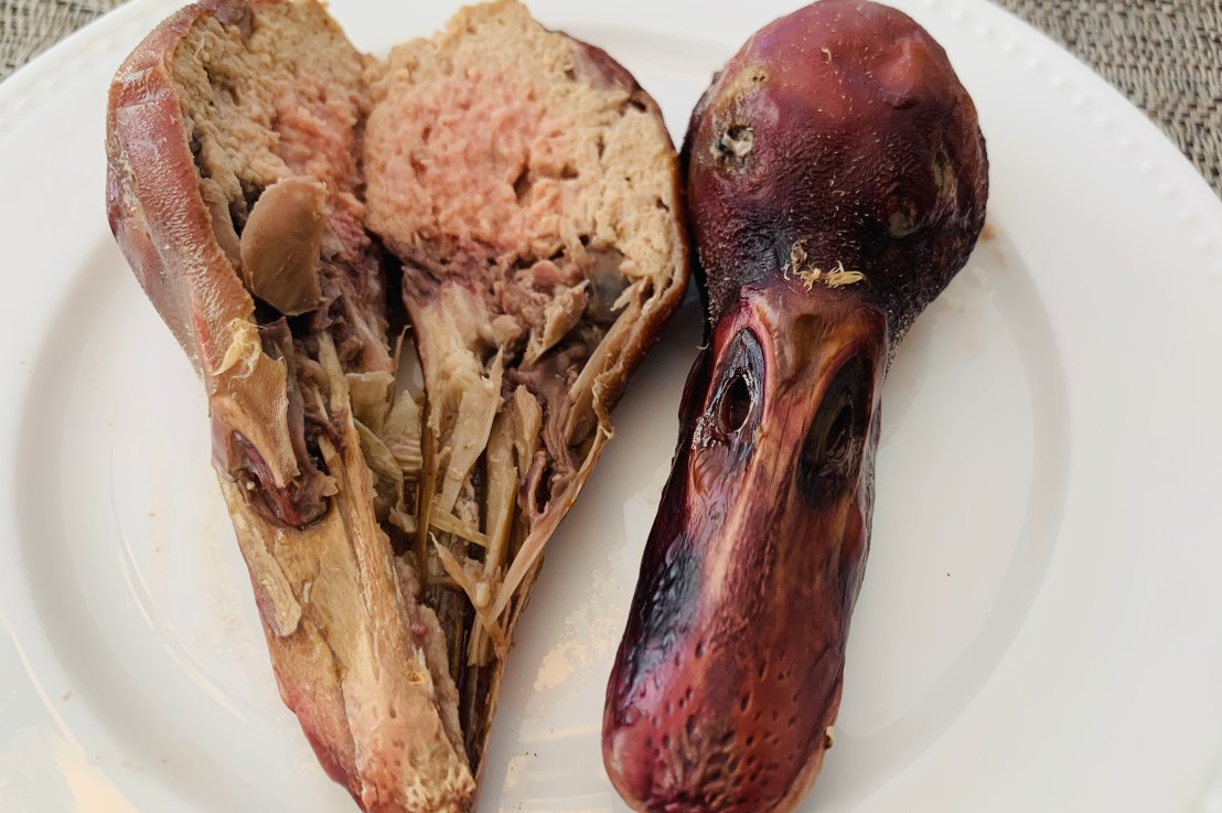 Stuffed Duck Head
